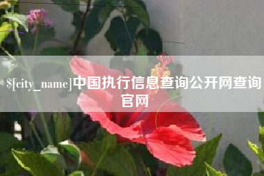 晋江中国执行信息查询公开网查询官网