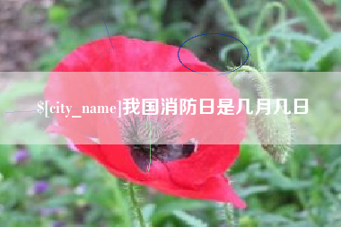 晋江我国消防日是几月几日