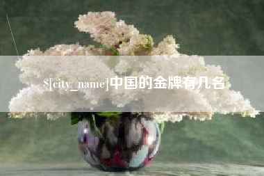 晋江中国的金牌有几名