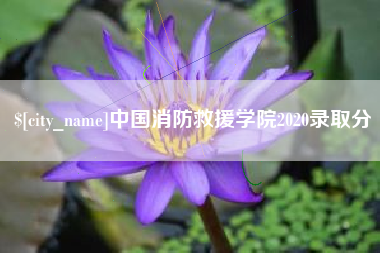 晋江中国消防救援学院2020录取分