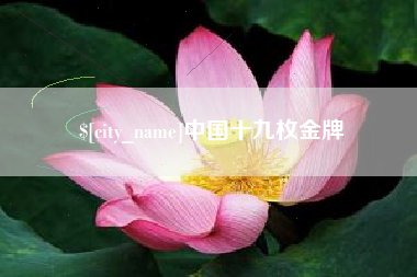 晋江中国十九枚金牌