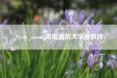 晋江河南消防大学分数线
