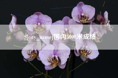 晋江国内5000米成绩