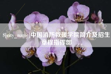 晋江中国消防救援学院简介及招生章程指挥部