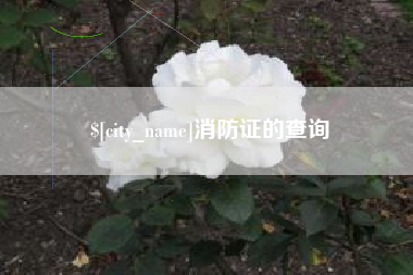 晋江消防证的查询