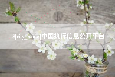 晋江中国执行信息公开平台