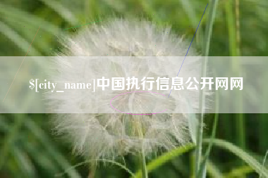 晋江中国执行信息公开网网