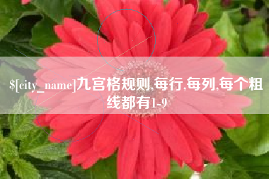 晋江九宫格规则,每行,每列,每个粗线都有1-9