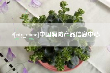 晋江中国消防产品信息中心