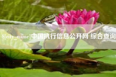 晋江中国执行信息公开网 综合查询
