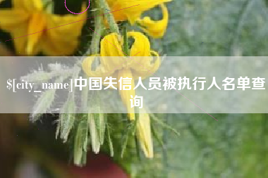 晋江中国失信人员被执行人名单查询