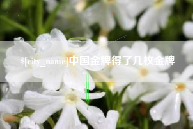 晋江中国金牌得了几枚金牌