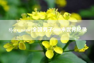 晋江全国男子5000米世界纪录