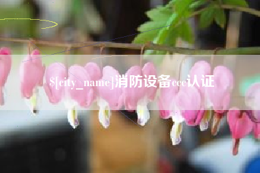 晋江消防设备ccc认证