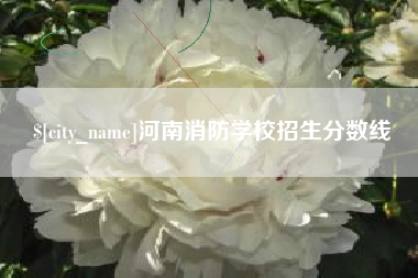 晋江河南消防学校招生分数线