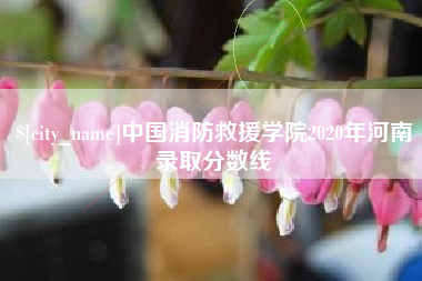 晋江中国消防救援学院2020年河南录取分数线