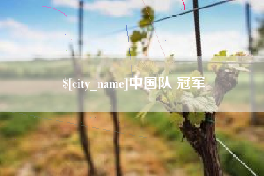 晋江中国队 冠军