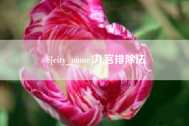 晋江九宫排除法