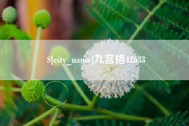 晋江九宫格42633
