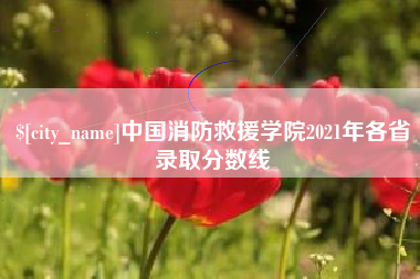 晋江中国消防救援学院2021年各省录取分数线