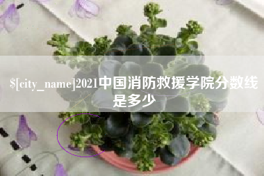晋江2021中国消防救援学院分数线是多少