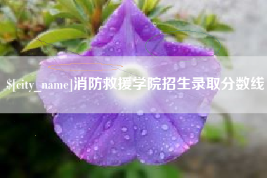 晋江消防救援学院招生录取分数线