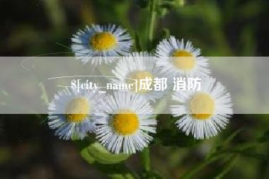 晋江成都 消防