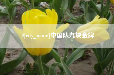 晋江中国队九块金牌