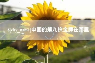 晋江中国的第九枚金牌在哪里