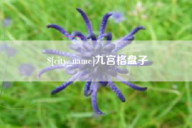 晋江九宫格盘子