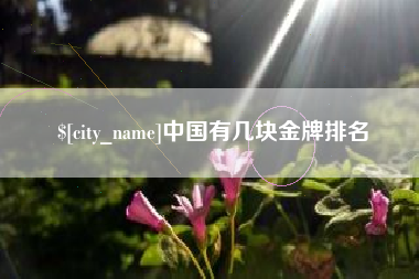 晋江中国有几块金牌排名