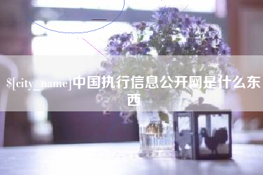 晋江中国执行信息公开网是什么东西