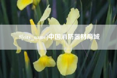 晋江中国消防器材商城