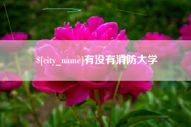 晋江有没有消防大学
