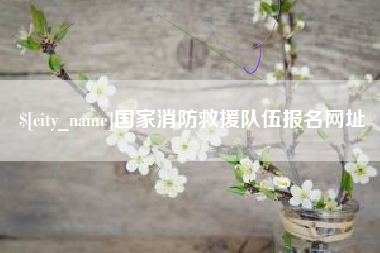 晋江国家消防救援队伍报名网址