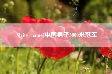晋江中国男子5000米冠军
