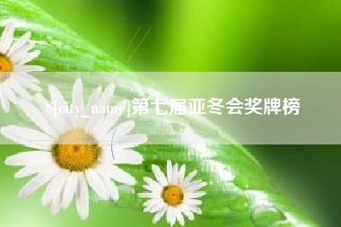 晋江第七届亚冬会奖牌榜