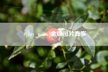 晋江金牌图片真实