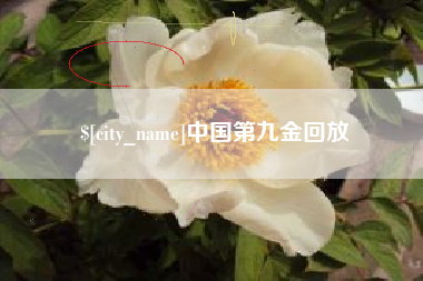晋江中国第九金回放