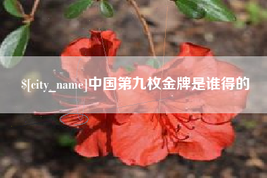 晋江中国第九枚金牌是谁得的