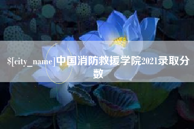 晋江中国消防救援学院2021录取分数