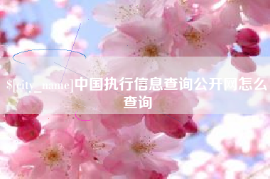 晋江中国执行信息查询公开网怎么查询