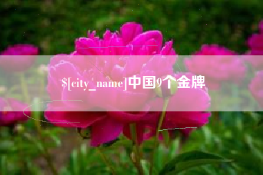 晋江中国9个金牌