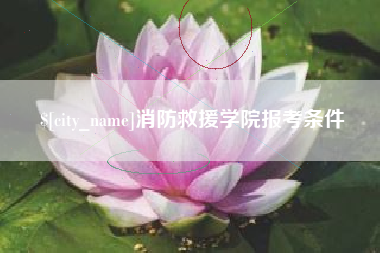 晋江消防救援学院报考条件