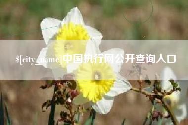 晋江中国执行网公开查询入口