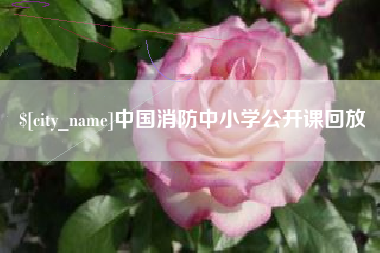 晋江中国消防中小学公开课回放