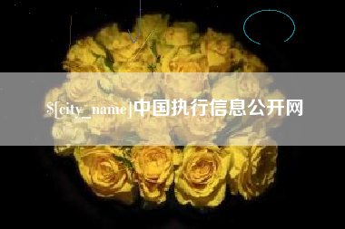 晋江中国执行信息公开网