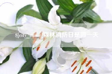 晋江森林消防日是哪一天