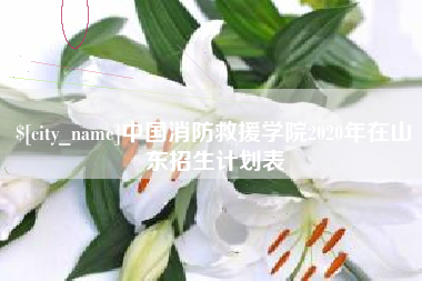 晋江中国消防救援学院2020年在山东招生计划表