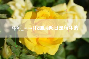 晋江我国消防日是每年的